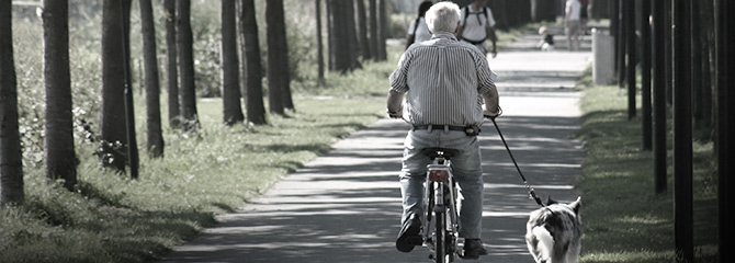 Imagen de un anciano montando en bicicleta y paseando a su perro, por un camino rodeado de árboles