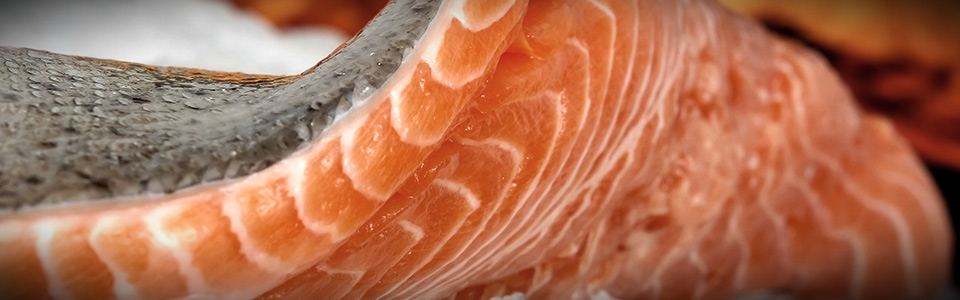 Imagen a color que muestra un corte transversal de un trozo de salmón crudo.