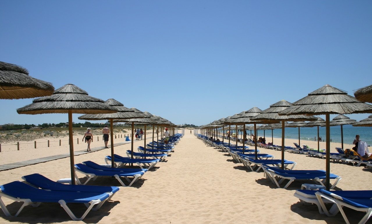 Imagen de sombrillas en fila en un día de sol en una playa de arena blanca